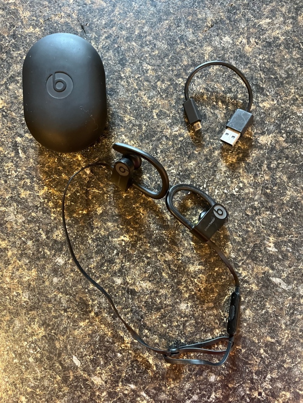 Beats Powerbeats Wireless Earbuds - Black